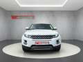 Land Rover Range Rover Evoque Pure / Leder/ Sound/AHK abn. Wit - thumbnail 8