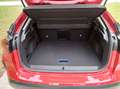 Citroen E-C4 Electric e-C4 136 50kWh Shine Edition Shine Edition Rot - thumbnail 6