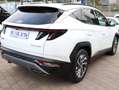 Hyundai TUCSON Tucson 1.6 crdi Xline 2wd Bianco - thumbnail 5