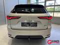 Mazda CX-60 2.5L e-SKYACTIV PHEV 327 hp 8AT i-ACTIV AWD HOMURA Beige - thumbnail 5