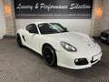 Porsche Cayman 987.2 PDK 2.9 265ch AERO - Unique - 6900km - 1°mai Blanco - thumbnail 7