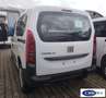 Fiat Doblo Ribassato TRASPORTO DISABILI Bianco - thumbnail 2