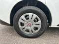 Fiat Talento 1.6 MJT 120 PL-TN Combi 12q 9 POSTI Bianco - thumbnail 9