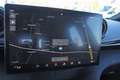BYD Dolphin Comfort 204PS Aut. GEWERBE AKTION Gri - thumbnail 14
