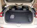 Kia Niro 1.6 GDi DCT PHEV Energy Weiß - thumbnail 19
