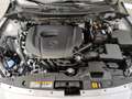 Mazda 2 HOMURA inkl LeasingBonus  RFK Klimaaut Sitzheizg F Gris - thumbnail 19