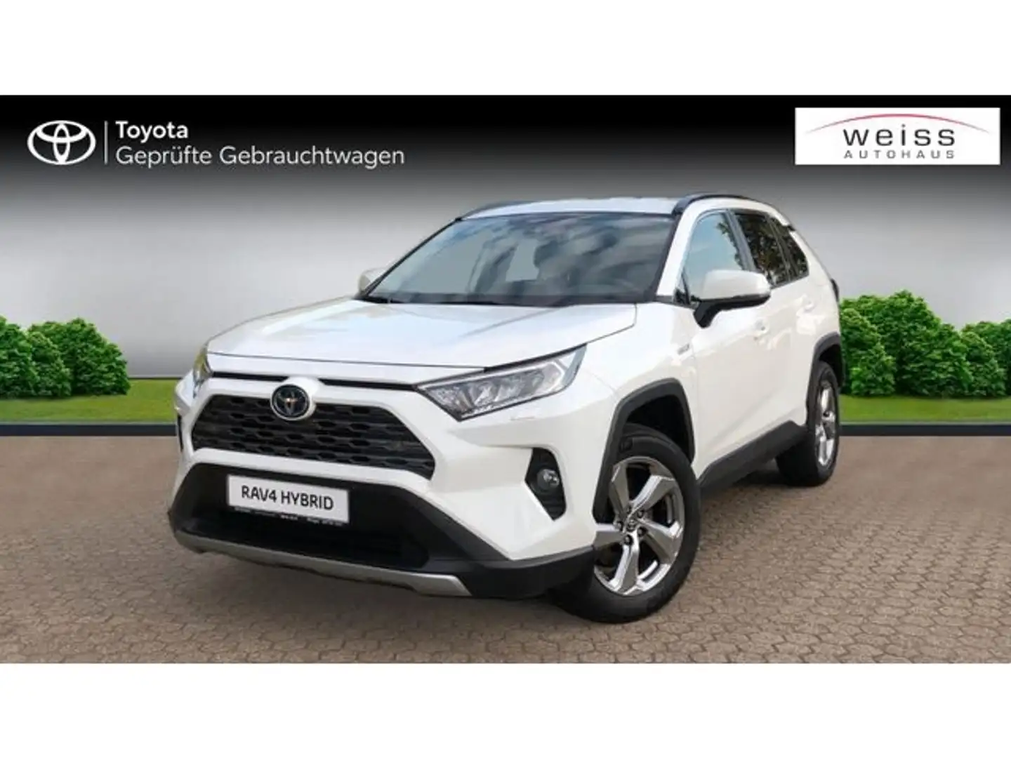 Toyota RAV 4 Hybrid 4x2 Team D SHZ TTW Kamera Navi LHZ Weiß - 1