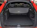 Audi A4 40 TDI quattro S line Panorama AHK LED Rot - thumbnail 7