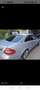 Mercedes-Benz CLK 320 Coupe cdi V6 Avantgarde UNICAAA al MONDO Argento - thumbnail 5