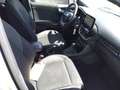 Ford Puma 1.0 EcoBoost mHEV 125 ST-LINE - thumbnail 3