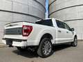 Ford F 150 3.5L V6 POWERBOOST LIMITED HYBRID 2024 Wit - thumbnail 3