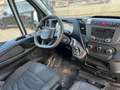Iveco Sonstige - thumbnail 7
