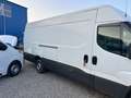 Iveco Sonstige - thumbnail 4