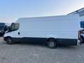 Iveco Sonstige - thumbnail 5