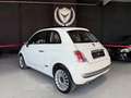 Fiat 500 Pequeño Automático de 3 Puertas Blanco - thumbnail 14