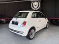 Fiat 500 Pequeño Automático de 3 Puertas Blanco - thumbnail 12