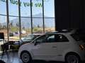 Fiat 500 Pequeño Automático de 3 Puertas Blanco - thumbnail 11