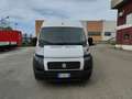 Fiat Ducato 30 2.0 MJT PM-TM - RIS. AD OPERATORI DEL SETTORE Blanc - thumbnail 2