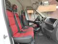 Fiat Ducato 30 2.0 MJT PM-TM - RIS. AD OPERATORI DEL SETTORE Wit - thumbnail 14