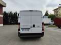 Fiat Ducato 30 2.0 MJT PM-TM - RIS. AD OPERATORI DEL SETTORE Wit - thumbnail 5