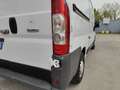 Fiat Ducato 30 2.0 MJT PM-TM - RIS. AD OPERATORI DEL SETTORE Blanco - thumbnail 21