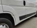 Fiat Ducato 30 2.0 MJT PM-TM - RIS. AD OPERATORI DEL SETTORE Blanco - thumbnail 31