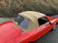 Alfa Romeo Spider 2000 Aerodinamica /Parfaite/1er pro Belge/49624km! Rouge - thumbnail 11