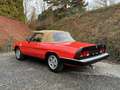 Alfa Romeo Spider 2000 Aerodinamica /Parfaite/1er pro Belge/49624km! Rouge - thumbnail 8