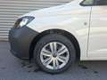 Volkswagen Caddy Cargo TDI 4MOTION Weiß - thumbnail 4