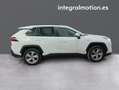 Toyota RAV 4 2.5l 220H Advance Blanco - thumbnail 26