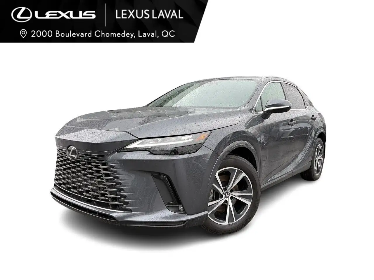 2025 Lexus RX
