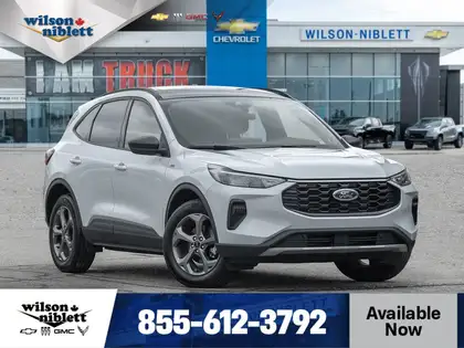 Silver 2025 Ford Escape SUV / Crossover All-Wheel Drive 8-Speed Automatic