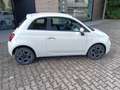 Fiat 500 500 1.0 hybrid Cult 70cv Bianco - thumbnail 3