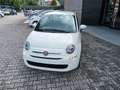 Fiat 500 500 1.0 hybrid Cult 70cv Bianco - thumbnail 7