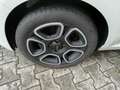 Fiat 500 500 1.0 hybrid Cult 70cv Bianco - thumbnail 8