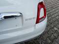 Fiat 500 500 1.0 hybrid Cult 70cv Bianco - thumbnail 10
