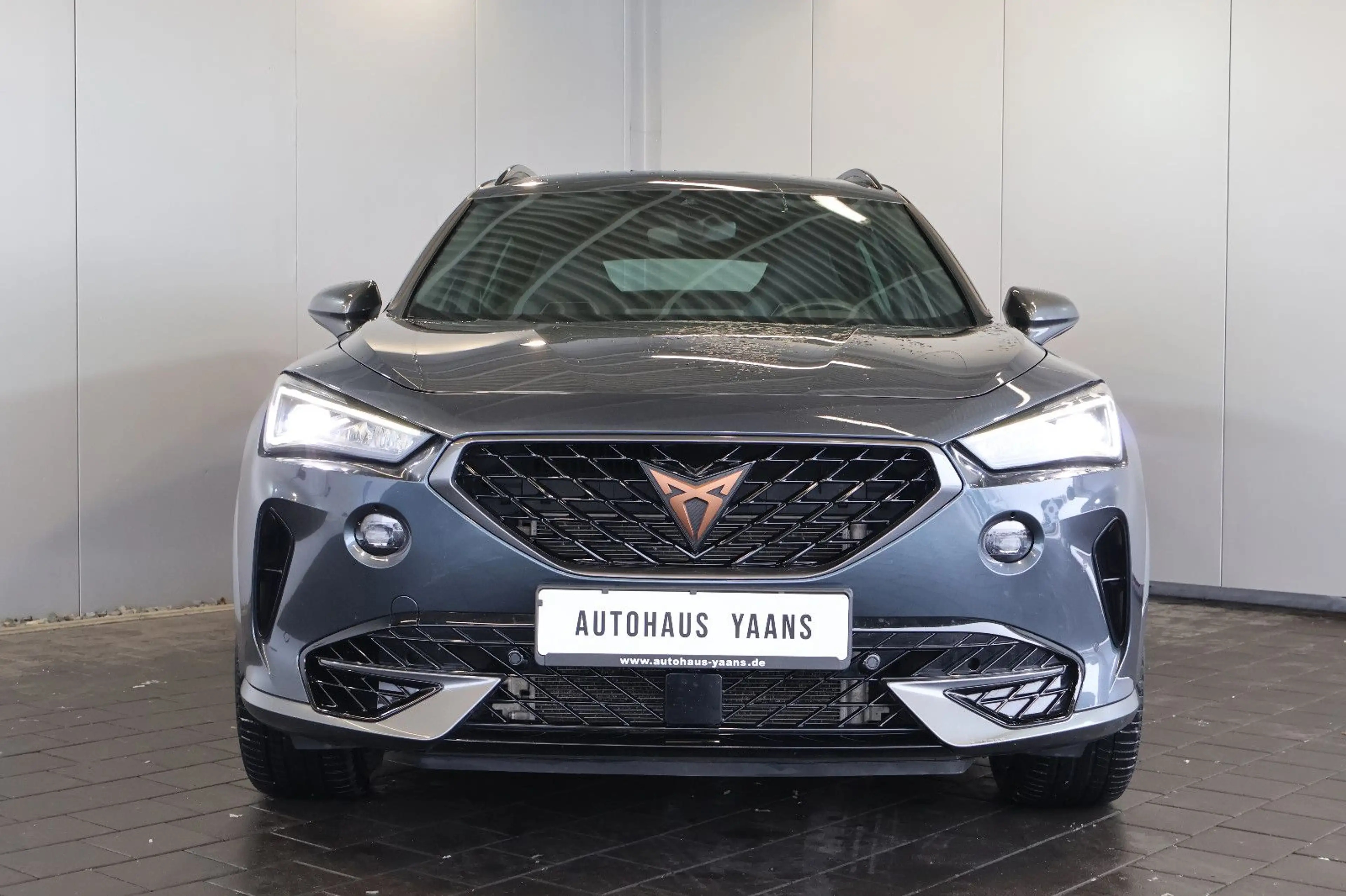 CUPRA Formentor VZ 2.0 TSI 4D BEATS+SIDE+KAM+MEM+19" — photo 2