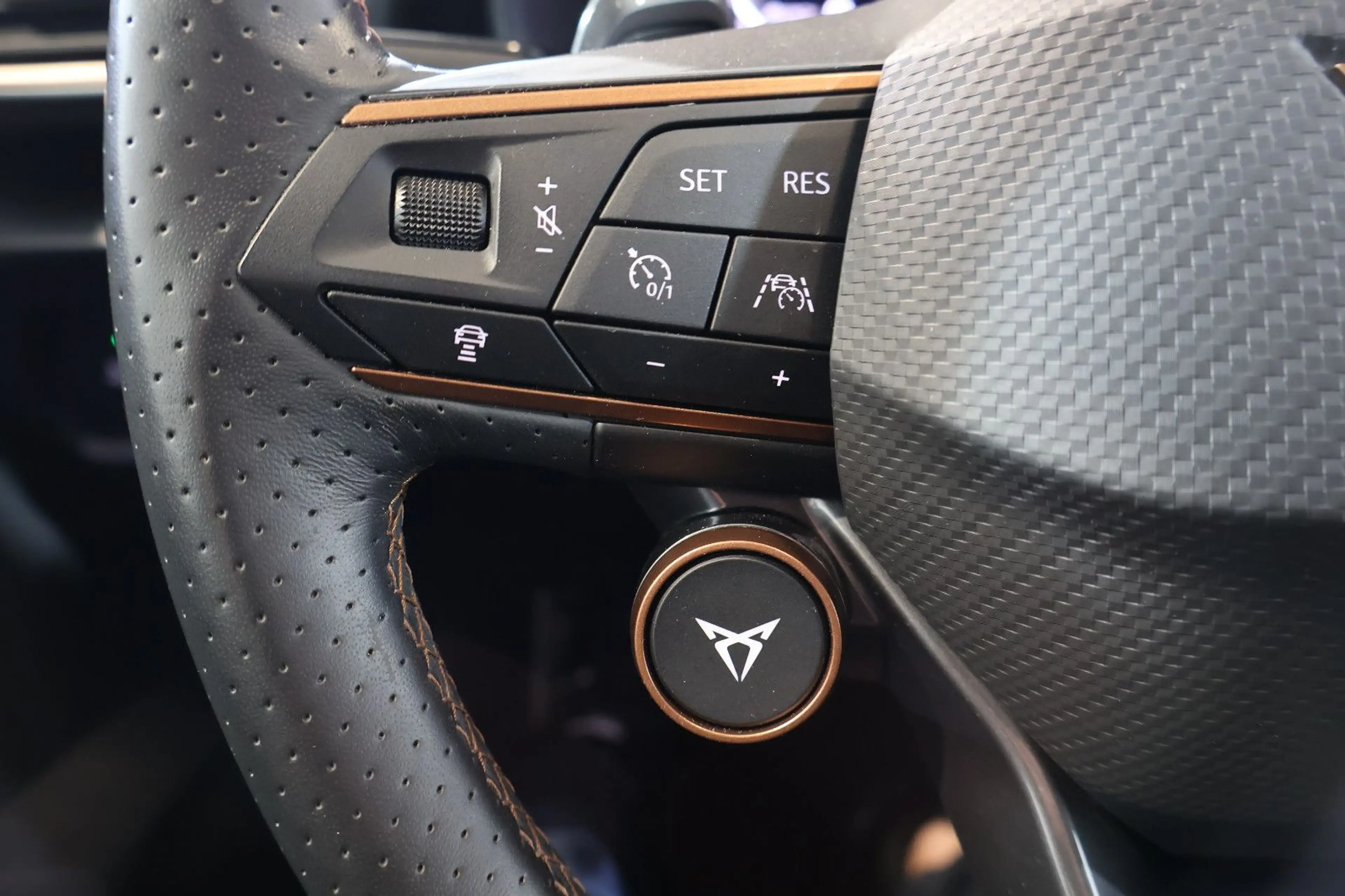 CUPRA Formentor VZ 2.0 TSI 4D BEATS+SIDE+KAM+MEM+19" — photo 10