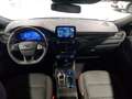Ford Kuga 1.5 EcoBlue ST-Line FWD 120 Aut. Weiß - thumbnail 13