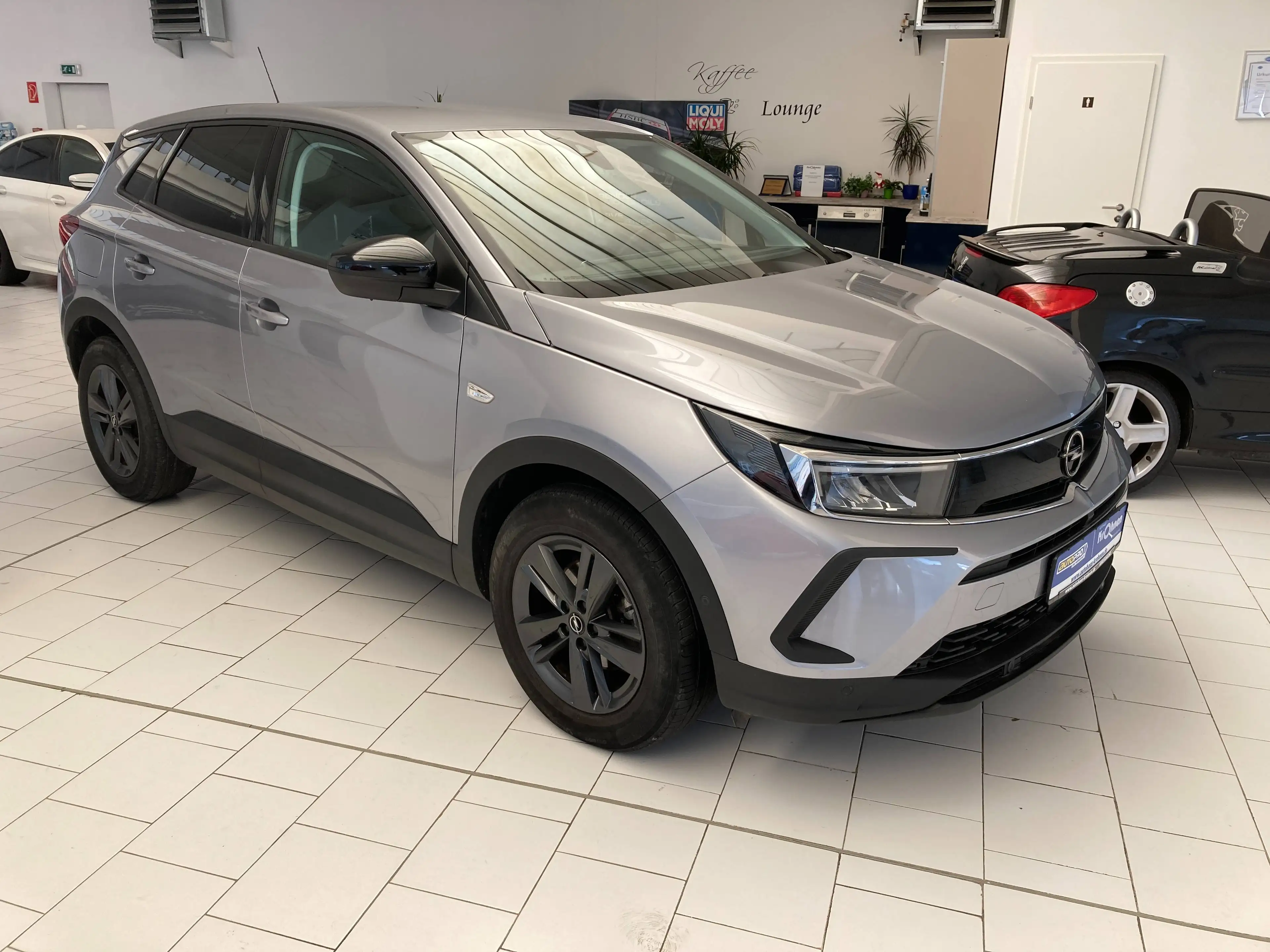 Opel Grandland X Business Edition*Kamera h * Winterpaket *