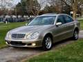 Mercedes-Benz E 320 Elegance - 6-Zylinder - Benziner Grau - thumbnail 9