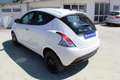 Lancia Ypsilon 1.0 FireFly 5p.S&S Hyb. Gold Pl. Weiß - thumbnail 7