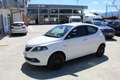 Lancia Ypsilon 1.0 FireFly 5p.S&S Hyb. Gold Pl. Weiß - thumbnail 1