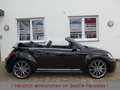 Volkswagen Beetle 1.4TSI DSG R-Line Leder Xenon Keyless 20" Noir - thumbnail 3