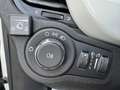 Fiat 500X 500X 1.6 GPL E-Torq 110 CV Cross 4x2 Bianco - thumbnail 21