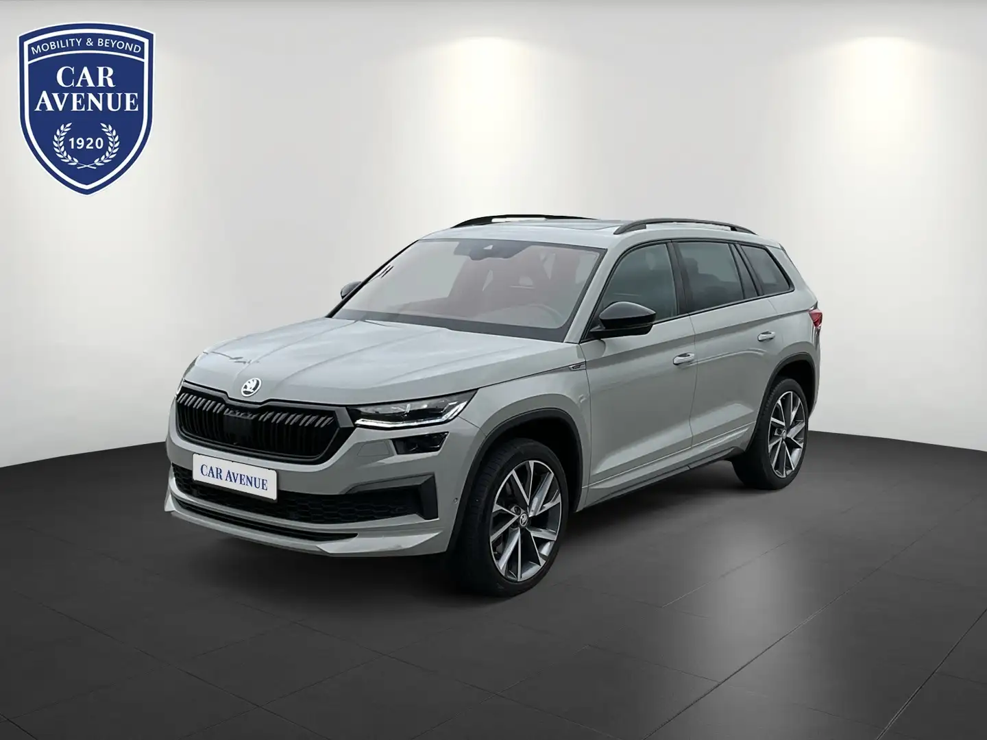Skoda Kodiaq Sportline 4x4 LED Panorama Grau - 1