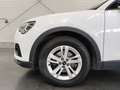 Audi Q3 35 TDI intense S-tronic Weiß - thumbnail 15