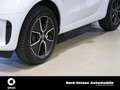smart forTwo EQ  passion LED COOL&AUDIO WINTERPAKET Weiß - thumbnail 5