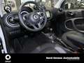 smart forTwo EQ  passion LED COOL&AUDIO WINTERPAKET Weiß - thumbnail 7