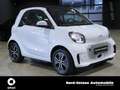 smart forTwo EQ  passion LED COOL&AUDIO WINTERPAKET Weiß - thumbnail 3
